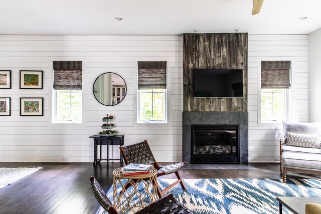 living area featuring dark wood-style floors, a wealth of natural light, and a fireplace