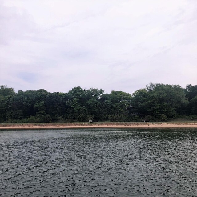 property view of water featuring a wooded view
