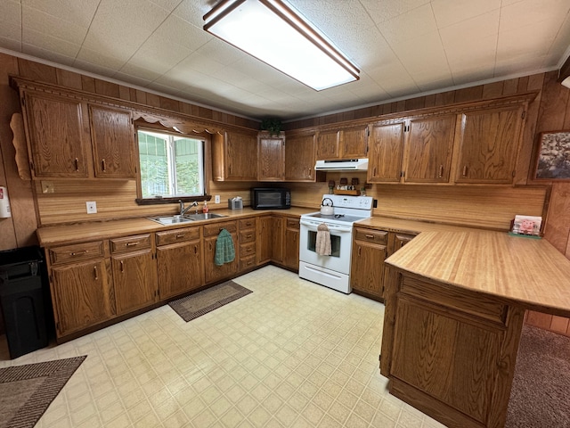 5940 Oak Rd, Rose City, MI 48654 - kitchen featuring a sink, white electric stove, under cabinet range hood, light countertops, and black microwave