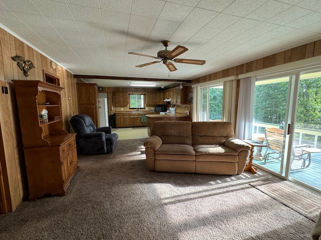 5940 Oak Rd, Rose City, MI 48654 - carpeted living area with a ceiling fan, wood walls, crown molding, and a sink