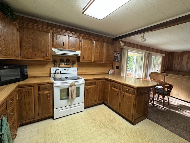 5940 Oak Rd, Rose City, MI 48654 - kitchen featuring light floors, wood walls, under cabinet range hood, white range with electric stovetop, and black microwave