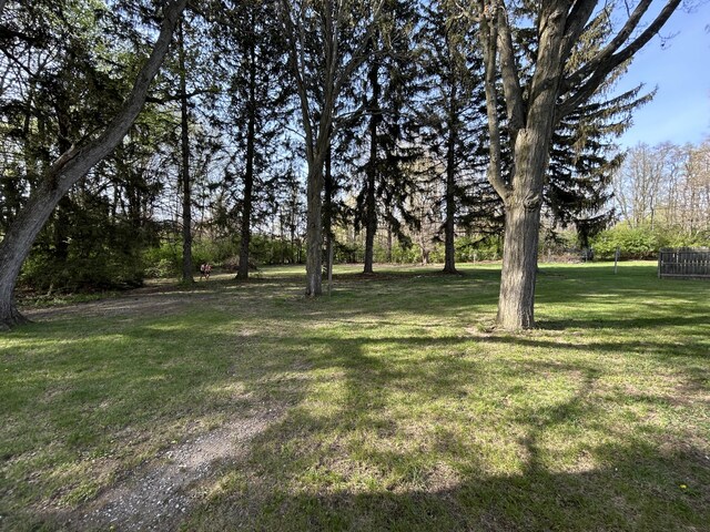 6735 Bayview Dr, Coloma, MI 49038 - view of yard