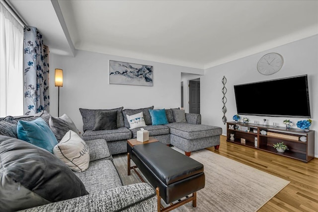 living room featuring wood finished floors