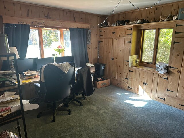 office featuring carpet flooring, wood walls, and a wealth of natural light