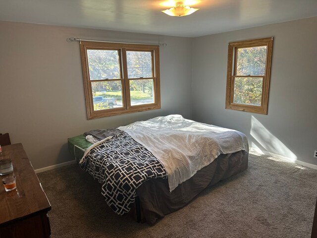 carpeted bedroom with baseboards and multiple windows
