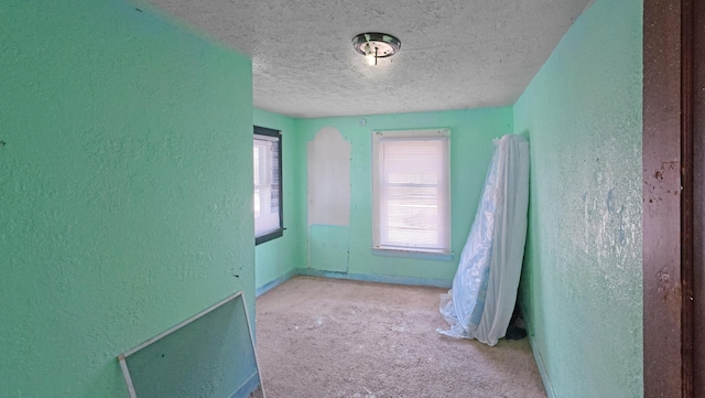 unfurnished room featuring a textured ceiling, a textured wall, and carpet flooring