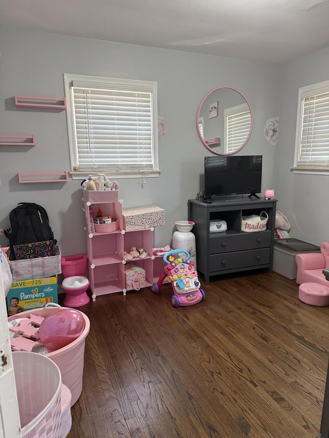25296 Ronald St, Roseville, MI 48066 - recreation room featuring wood finished floors