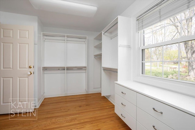 spacious closet with light wood finished floors