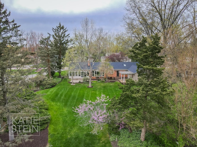 rear view of property with a patio, a yard, and a chimney