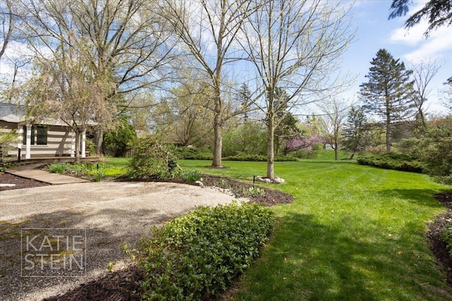 view of yard