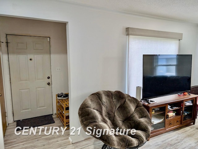 living area featuring a textured ceiling and wood finished floors