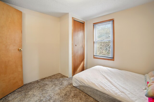 bedroom featuring carpet floors, a textured ceiling, and a closet