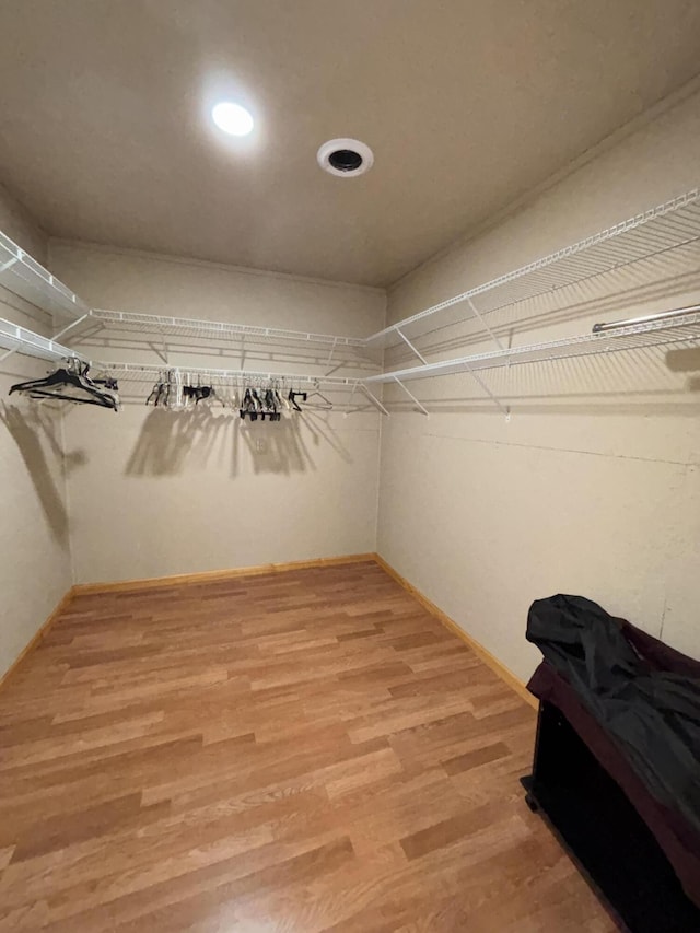 3799 Maple Dr, Wellston, MI 49689 - walk in closet with light wood-style floors