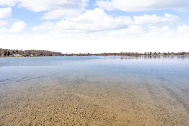 1704 Little Dr, Horton, MI 49246 - view of water feature
