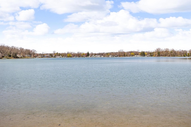 1704 Little Dr, Horton, MI 49246 - property view of water