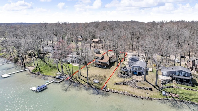 1704 Little Dr, Horton, MI 49246 - birds eye view of property with a water view and a wooded view