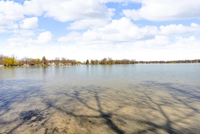 1704 Little Dr, Horton, MI 49246 - view of water feature