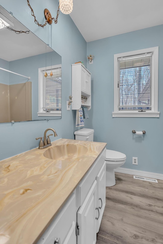 1704 Little Dr, Horton, MI 49246 - full bathroom featuring vanity, visible vents, wood finished floors, toilet, and baseboards