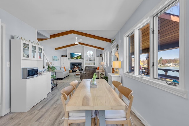1704 Little Dr, Horton, MI 49246 - dining area featuring a ceiling fan, light wood-style flooring, a glass covered fireplace, and a healthy amount of sunlight