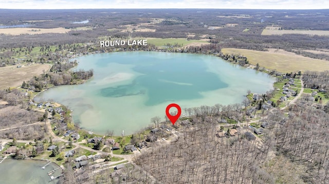 1704 Little Dr, Horton, MI 49246 - bird's eye view with a water view