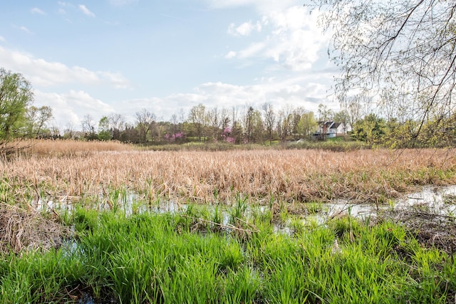 view of nature
