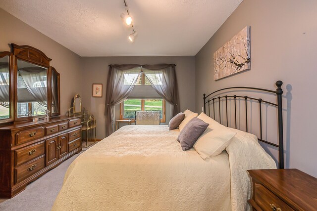 carpeted bedroom featuring track lighting