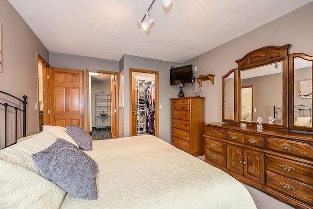 carpeted bedroom with a closet, connected bathroom, and a spacious closet