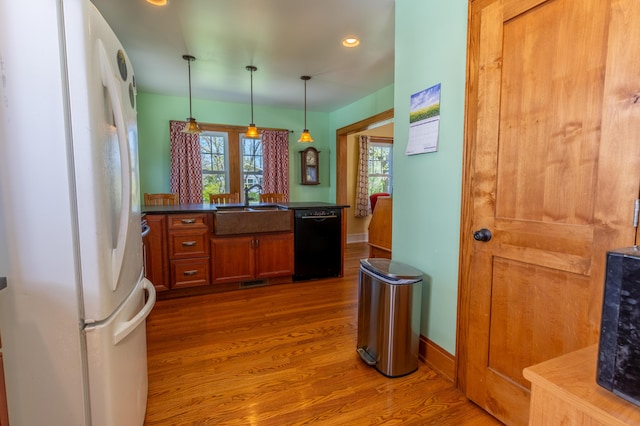 kitchen with brown cabinetry, freestanding refrigerator, wood finished floors, black dishwasher, and a sink
