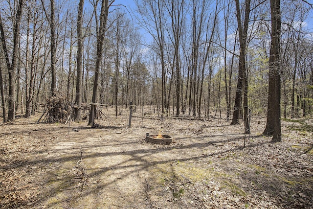 view of nature with a wooded view