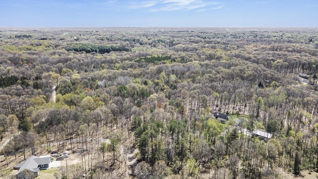 20188 Hubbard Rd, Battle Creek, MI 49017 - photo 43