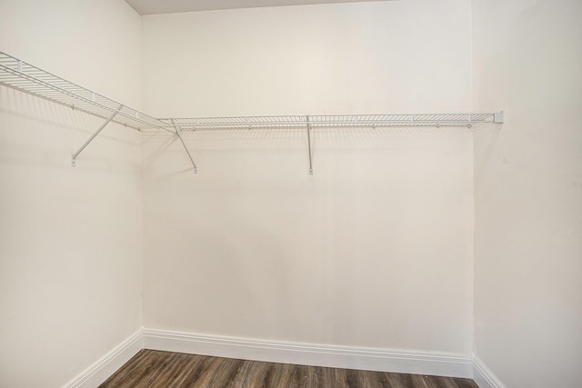walk in closet featuring dark wood-style floors