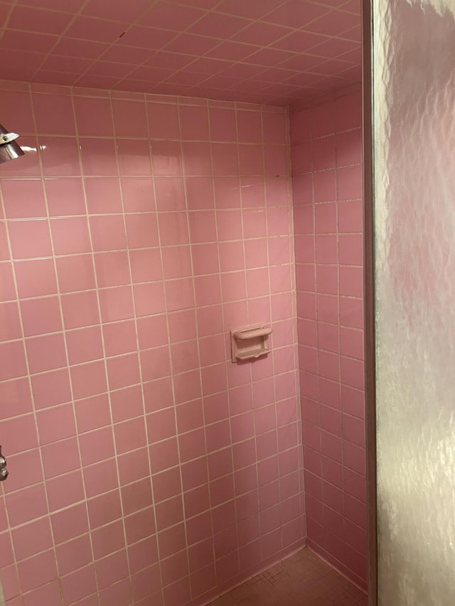room details featuring a stall shower