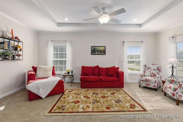 carpeted living room with baseboards, a healthy amount of sunlight, and a raised ceiling
