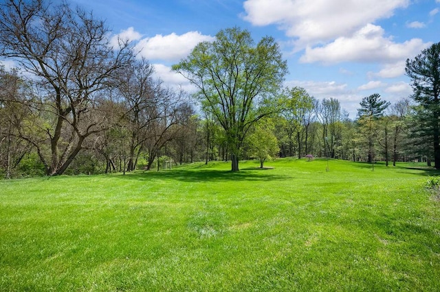 19117 Beaver Dam Rd, Galien, MI 49113 - view of yard