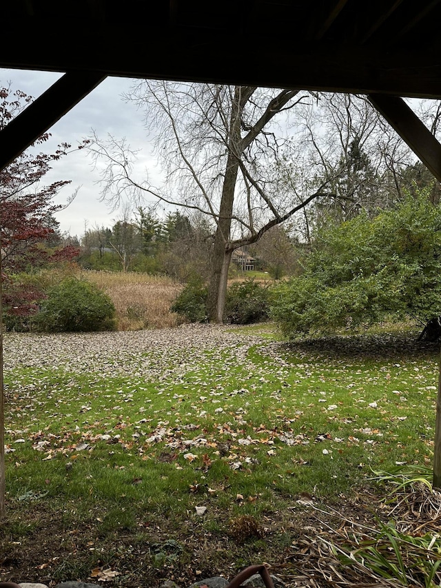 view of yard