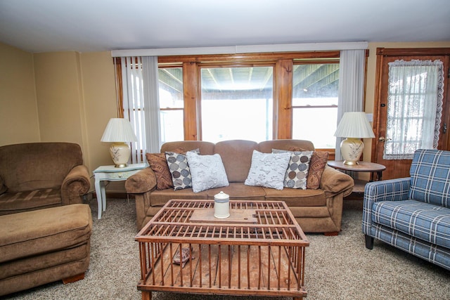 living room with carpet flooring