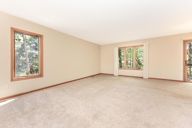empty room featuring a healthy amount of sunlight and light carpet