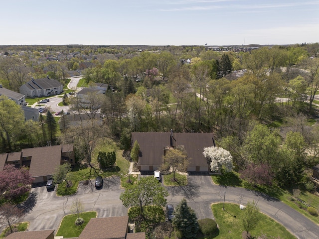 bird's eye view