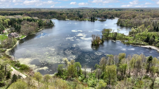 1205 Mckail Rd, Leonard, MI 48367 - water view featuring a heavily wooded area