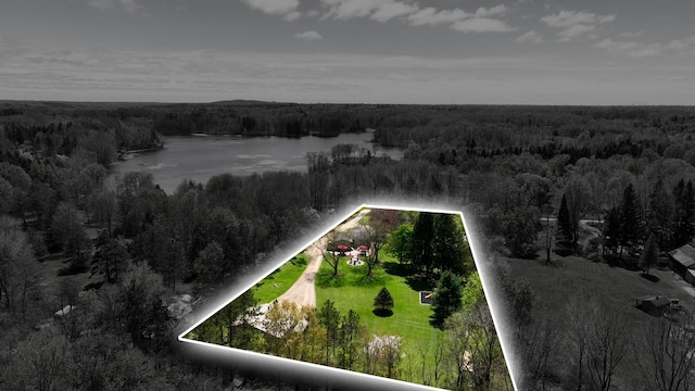 1205 Mckail Rd, Leonard, MI 48367 - aerial overview of property's location featuring a forest, property parcel outlined, and a large body of water