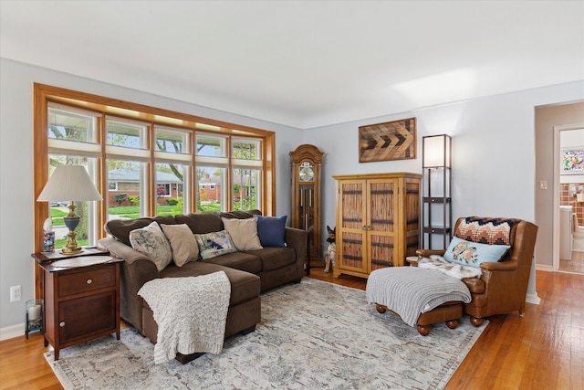 living area with baseboards and wood finished floors