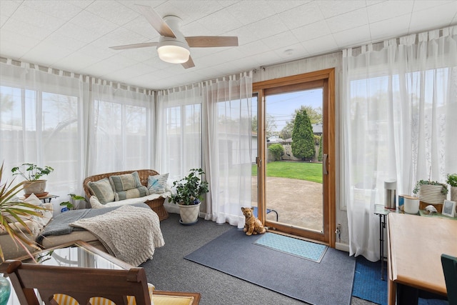 sunroom featuring carpet floors