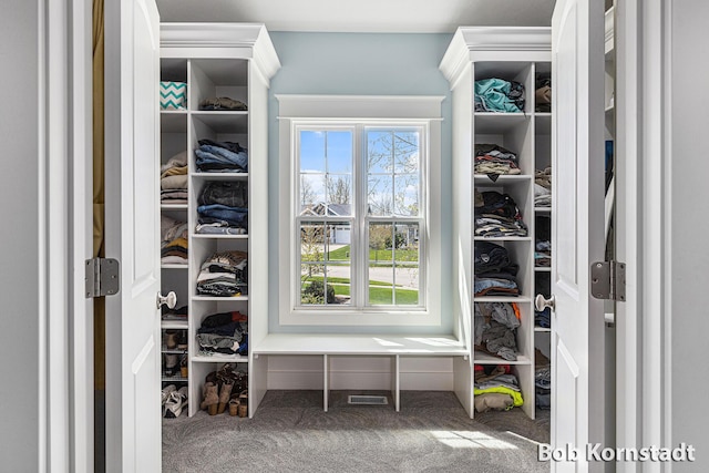3779 Mesa Verde Dr, Hudsonville, MI 49426 - walk in closet featuring carpet