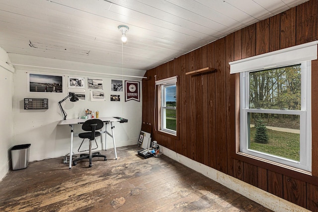 interior space with wooden walls, a healthy amount of sunlight, and hardwood / wood-style flooring