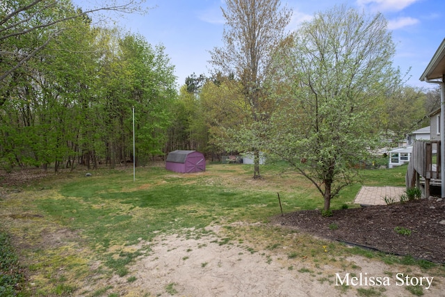 view of yard with a storage shed and an outbuilding