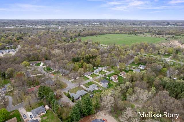 drone / aerial view