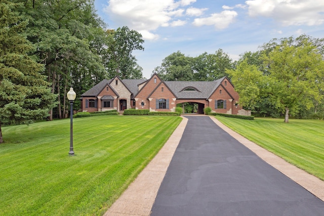 11599 Erins Way, Romeo, MI 48065 - french country inspired facade featuring brick siding, a front yard, and driveway