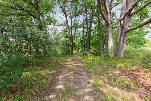 11599 Erins Way, Romeo, MI 48065 - view of undeveloped land
