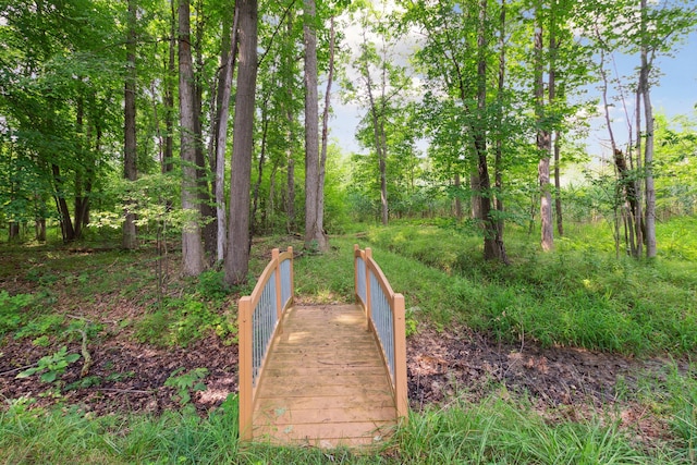 11599 Erins Way, Romeo, MI 48065 - view of property's community