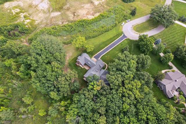 11599 Erins Way, Romeo, MI 48065 - aerial overview of property's location